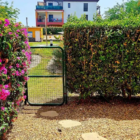 Con Jardin Y Acceso A La Piscina. *